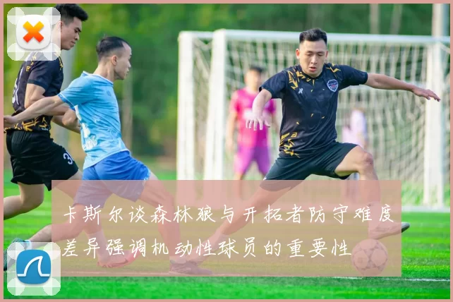 卡斯尔谈森林狼与开拓者防守难度差异强调机动性球员的重要性