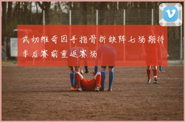 武切维奇因手指骨折缺阵七场期待季后赛前重返赛场